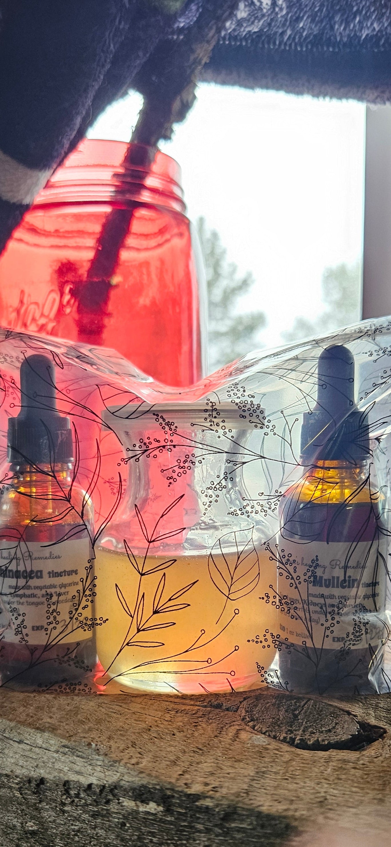 Wellness pack- Echinacea and Mullein tinctures -with bonus Freebie- Free Pine Needle infused Montana honey!